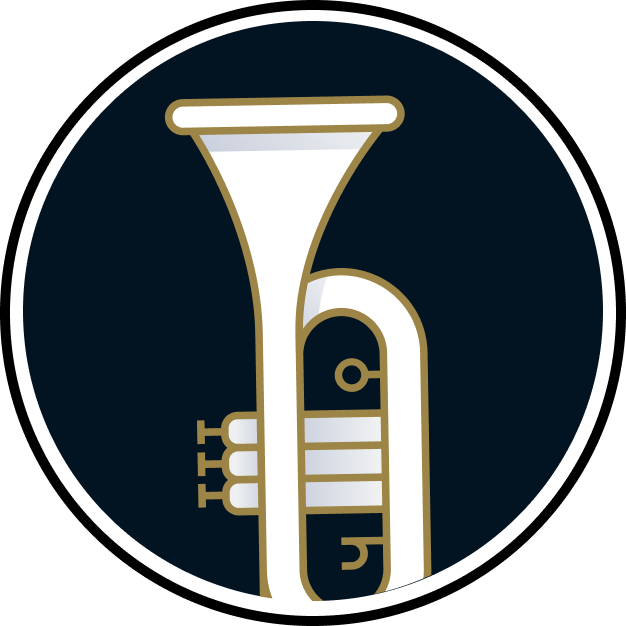 Clases de Música para Adultos